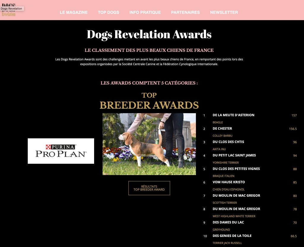 De La Meute D'astérion - Meilleur élevage de beagle 2019
